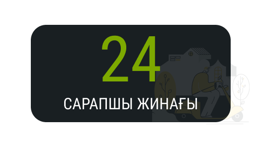 Сарапшы Жинағы 24.png Сарапшы Жинағы 24.png